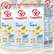ไวตามิ้ลค์ นมถั่วเหลือง โลว์ชูก้า 250 มล.